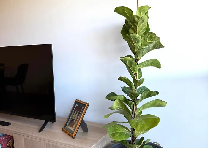 Arriba Sunrise * Costa de Caparica